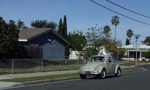 DSCF8646.jpg