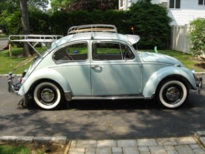 DSC01205 (300 x 225).jpg