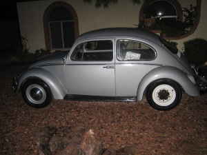 66 Bug.jpg