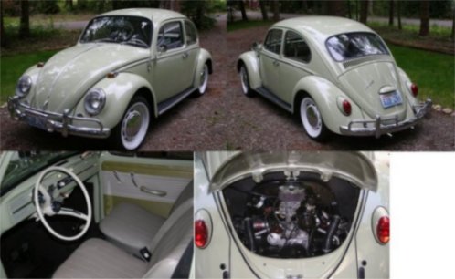 66 Bug Finished montage 2.jpg