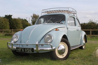 Bertie Beetle