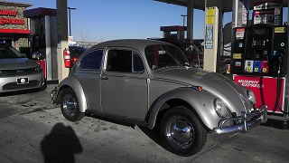 littlebug.jpg
