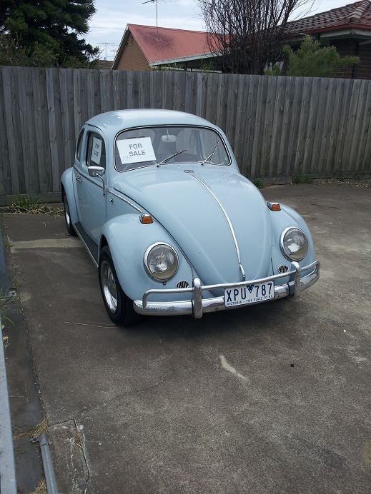 Found in a small yard.