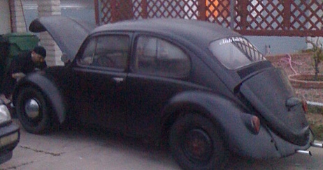 black bug.jpg
