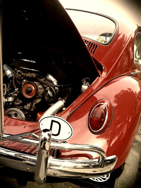 66 bug
